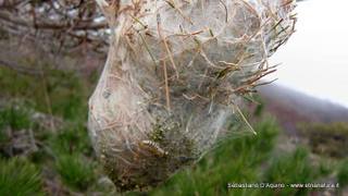otta Schadlish-03-06-2014 18-01-32